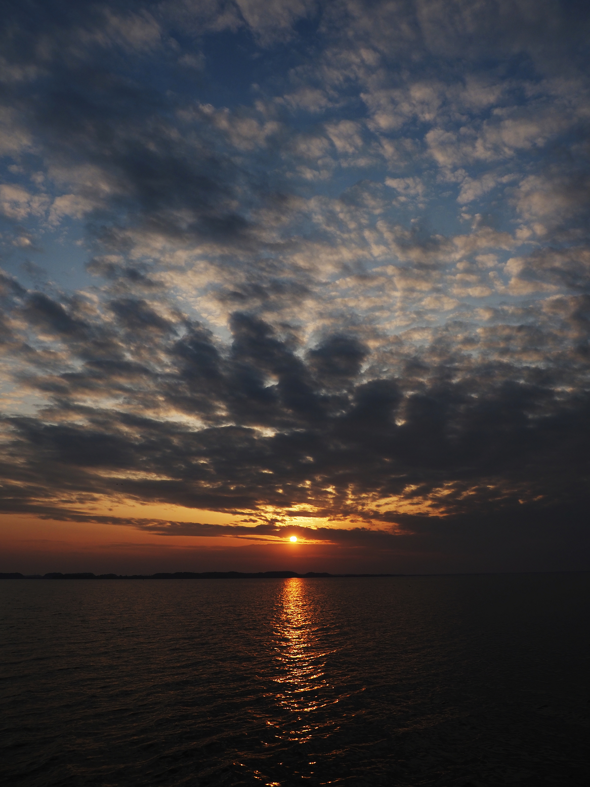 P2180362.jpg