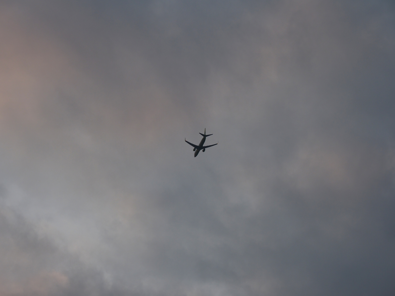 P2180384.jpg