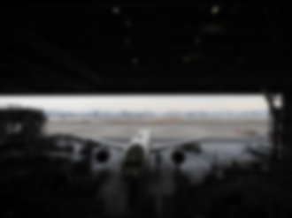 P2240529_thumb.png