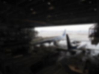 P2240553_thumb.png