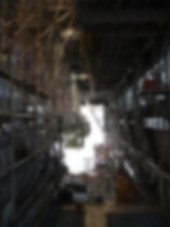 P2240557_thumb.png