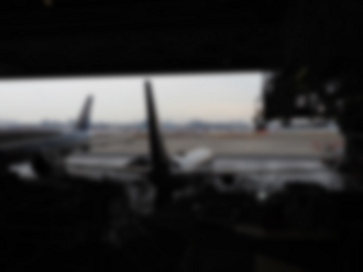 P2240560_thumb.png