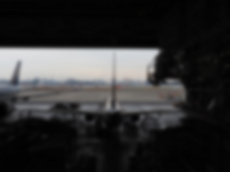 P2240561_thumb.png