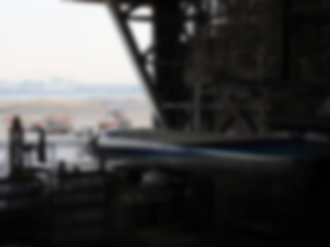 P2240568_thumb.png