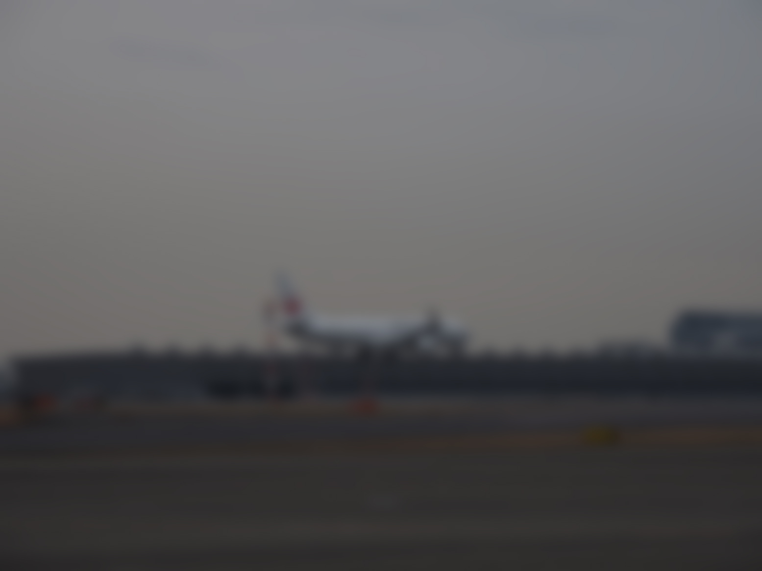 P2240689.jpg
