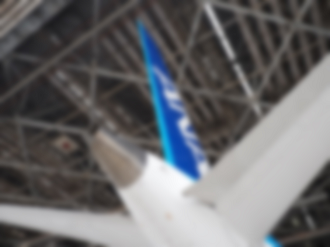 P2240691_thumb.png