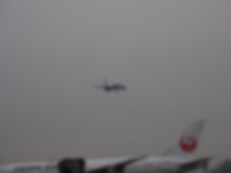 P2240697_thumb.png