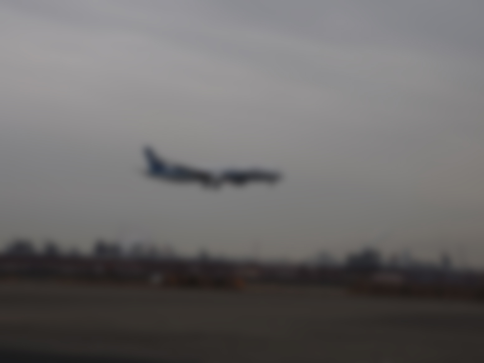 P2240700.jpg