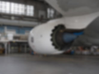 P2240718_thumb.png