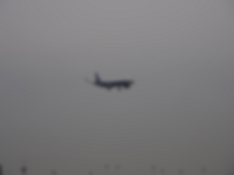 P2240735_thumb.png