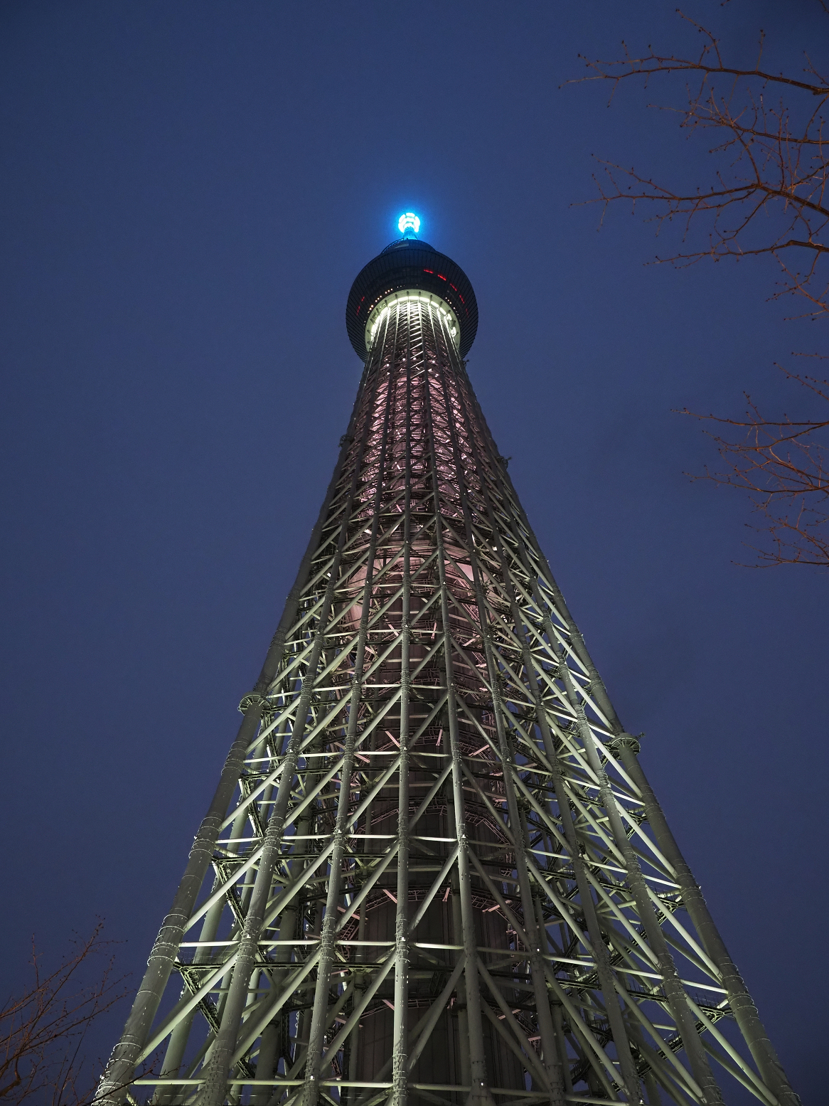 P2240780.jpg