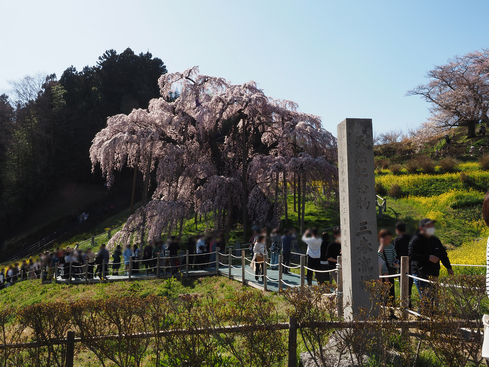 P4010285.jpg