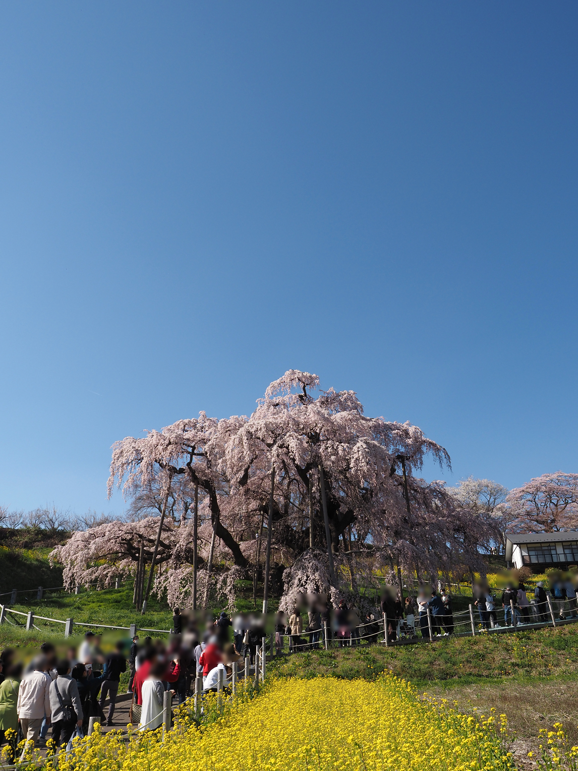 P4010298.jpg