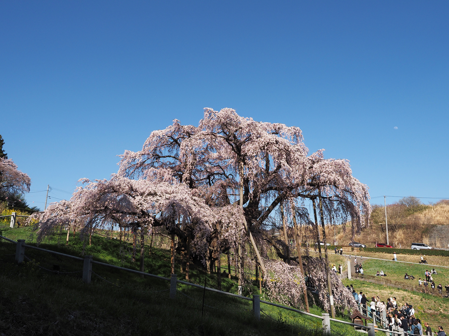 P4010337.jpg