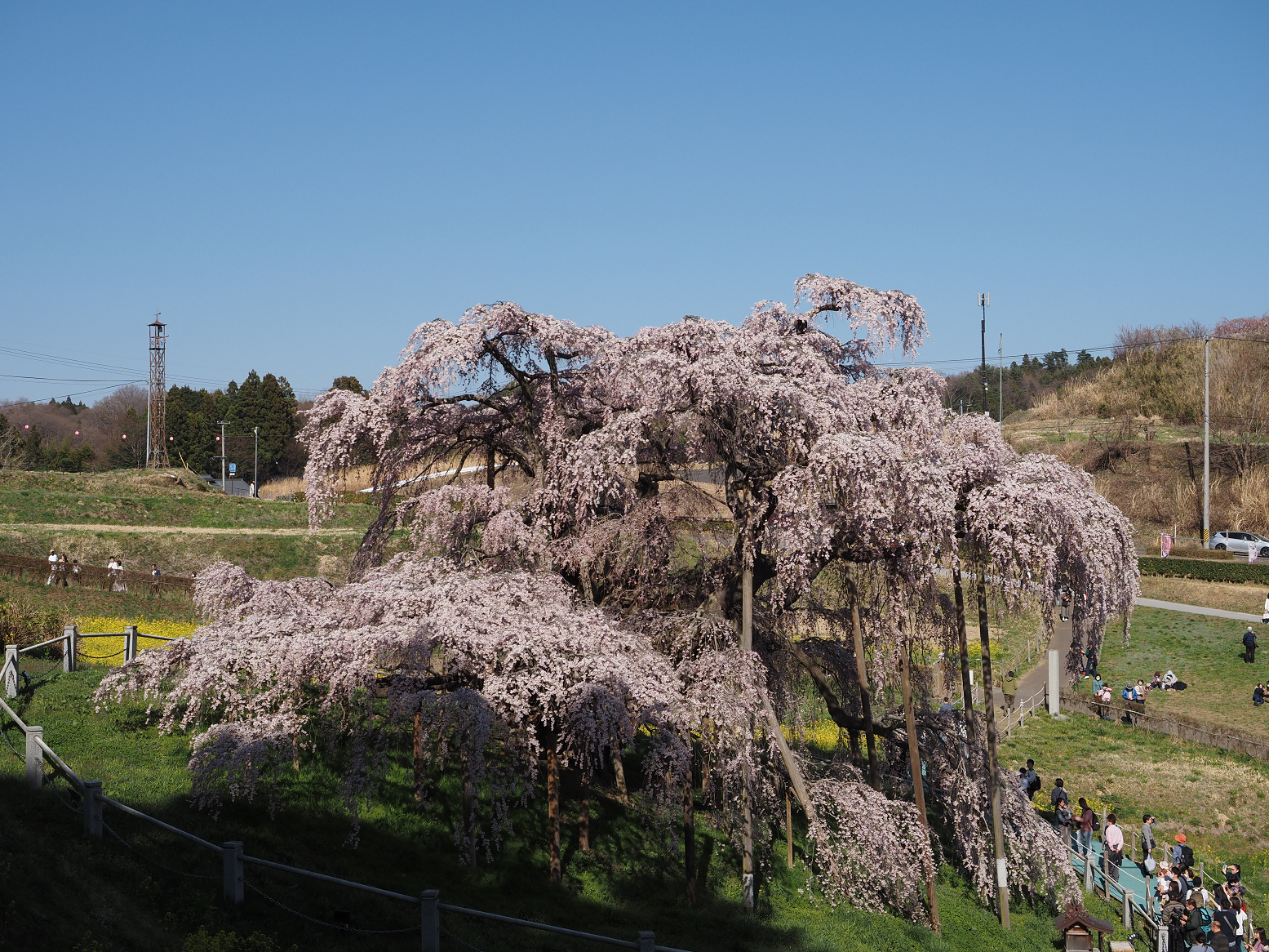 P4010340.jpg