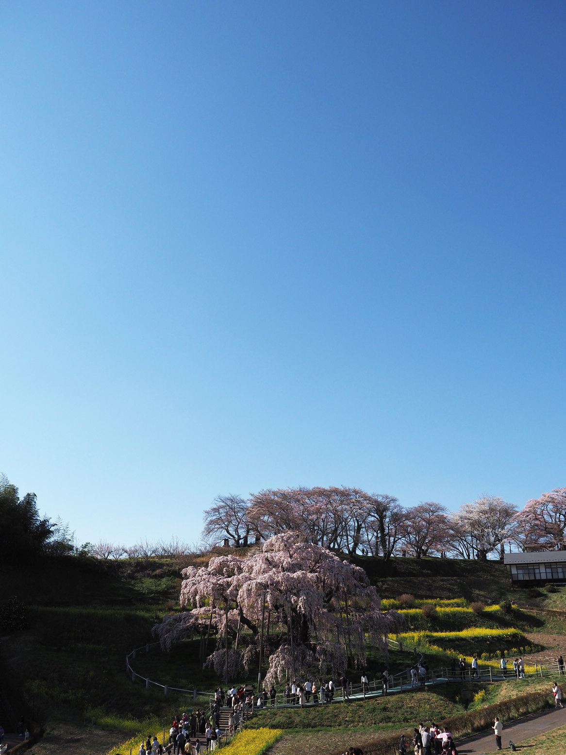 P4010356.jpg