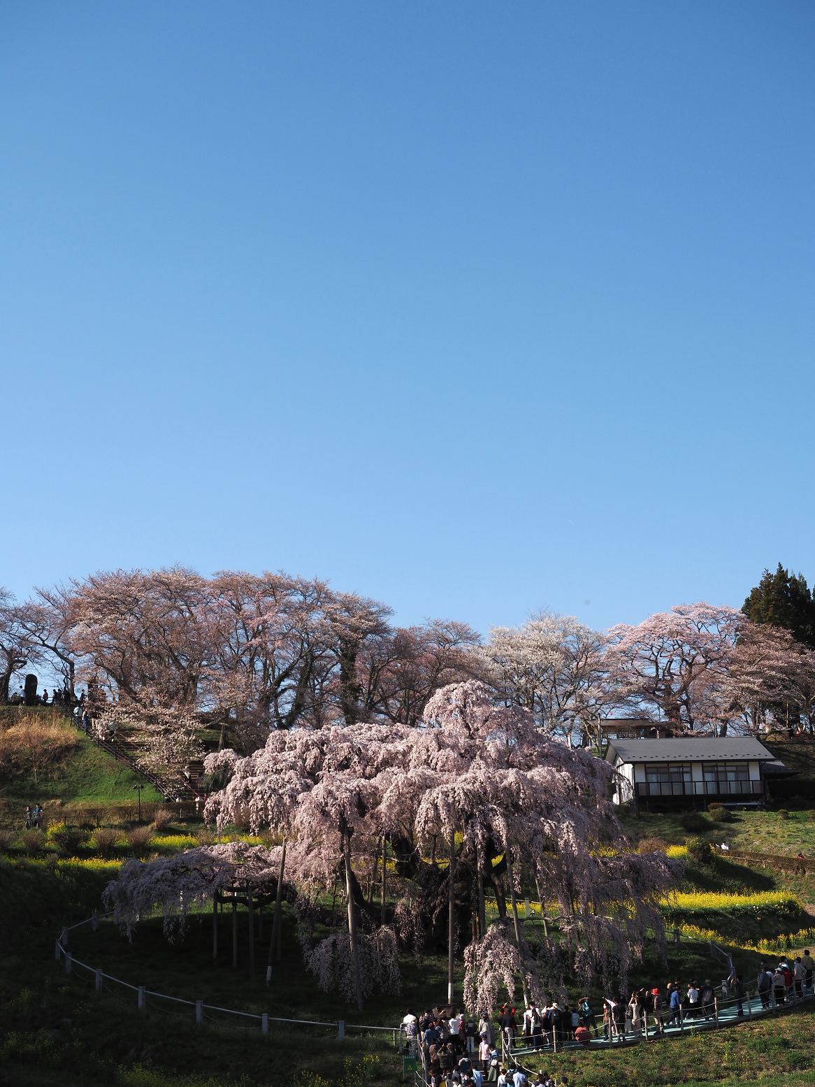 P4010361.jpg
