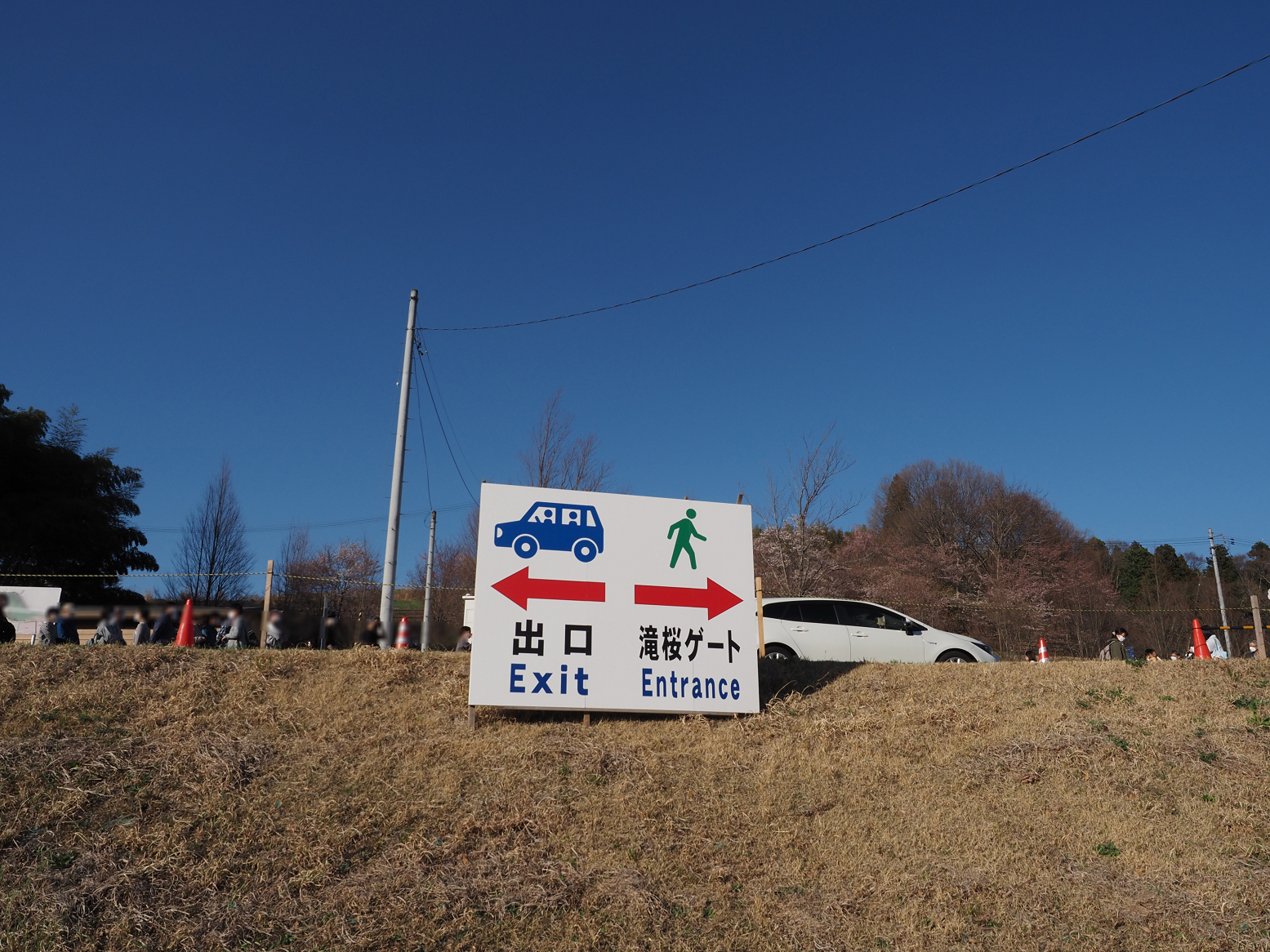 P4010376.jpg