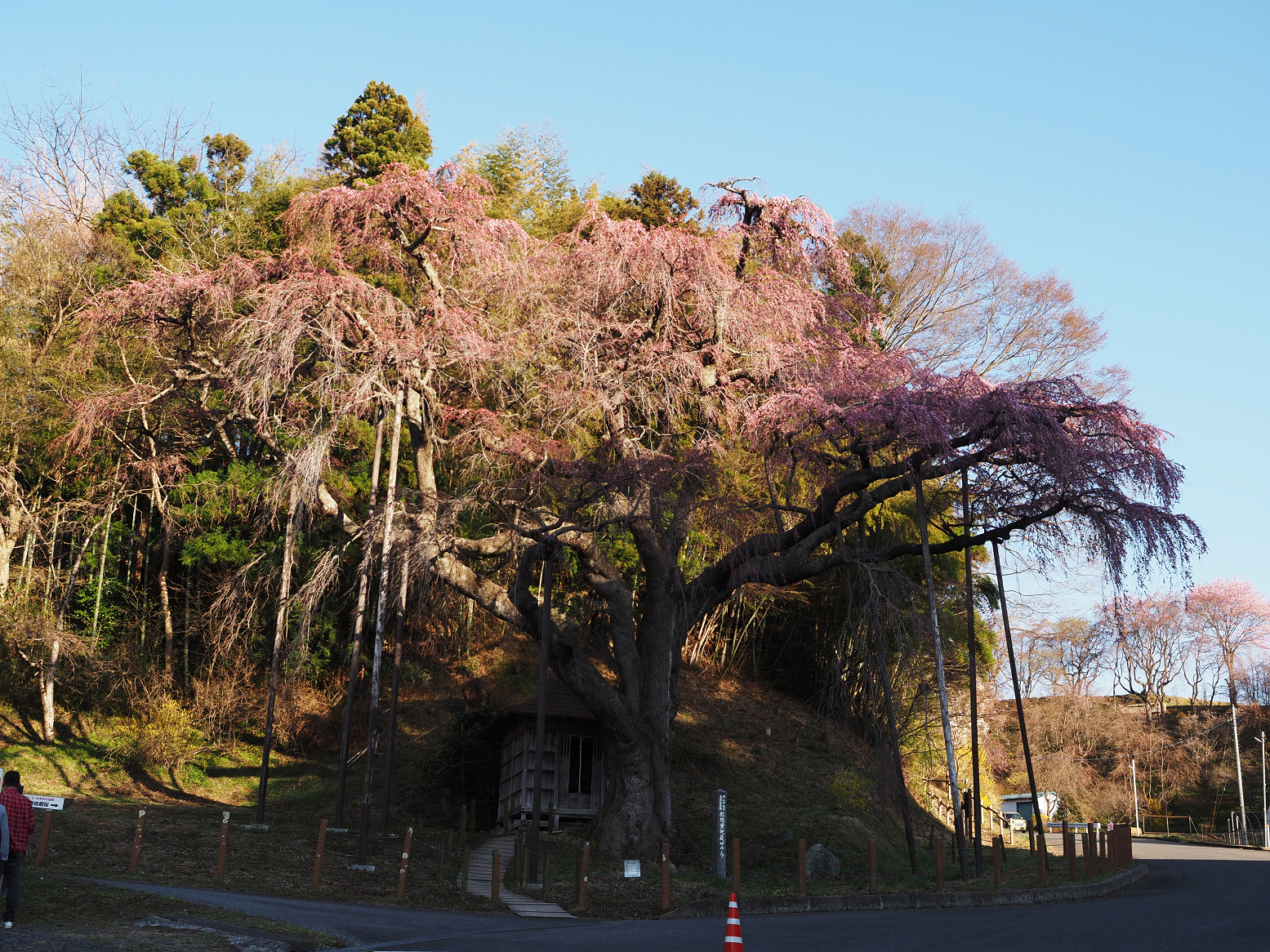 P4010382.jpg