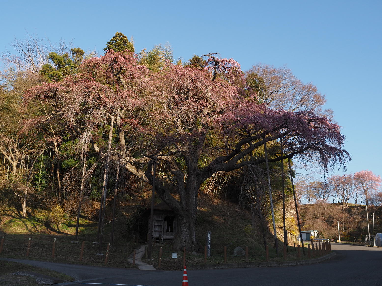 P4010383.jpg