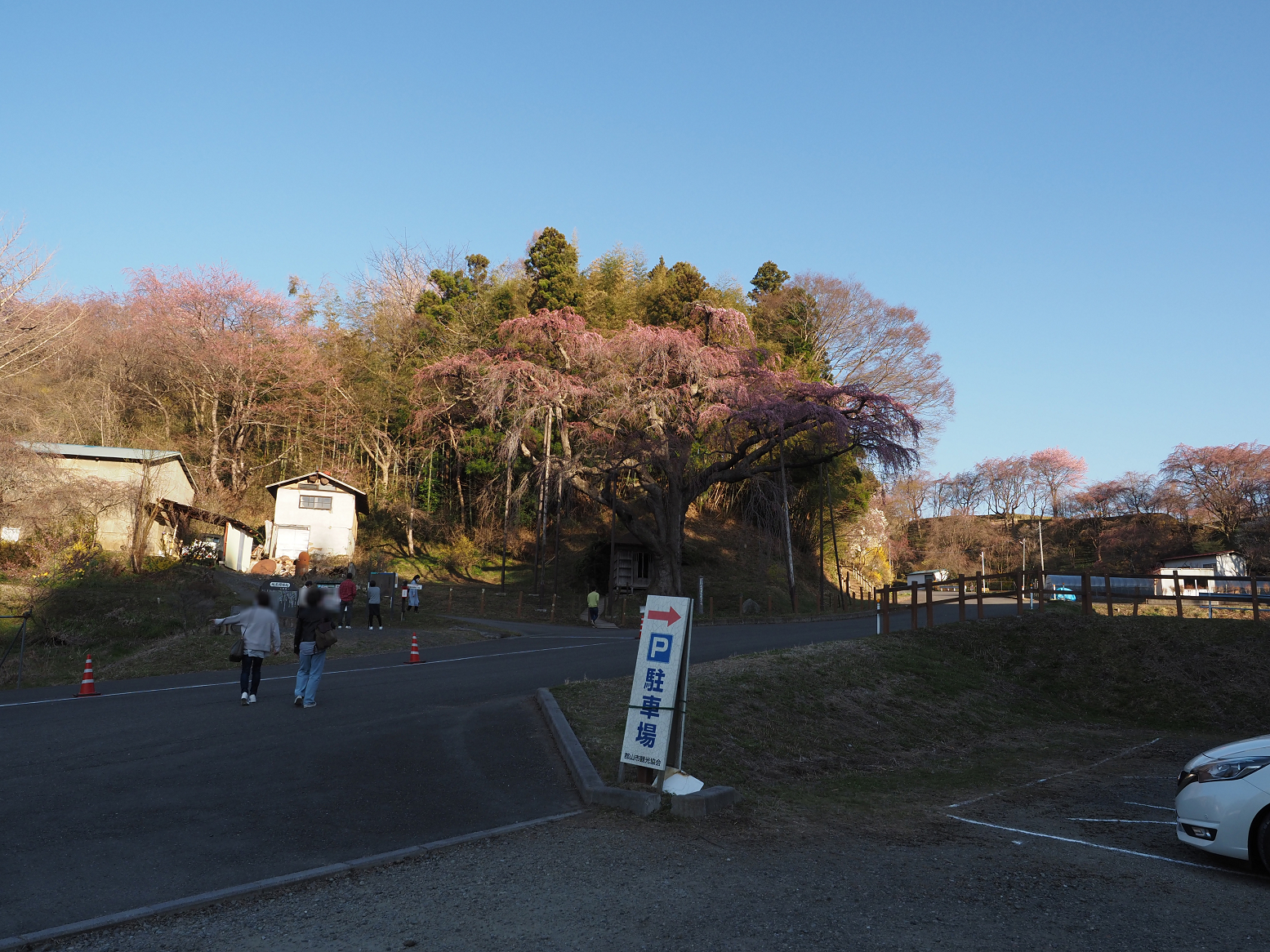 P4010385.jpg