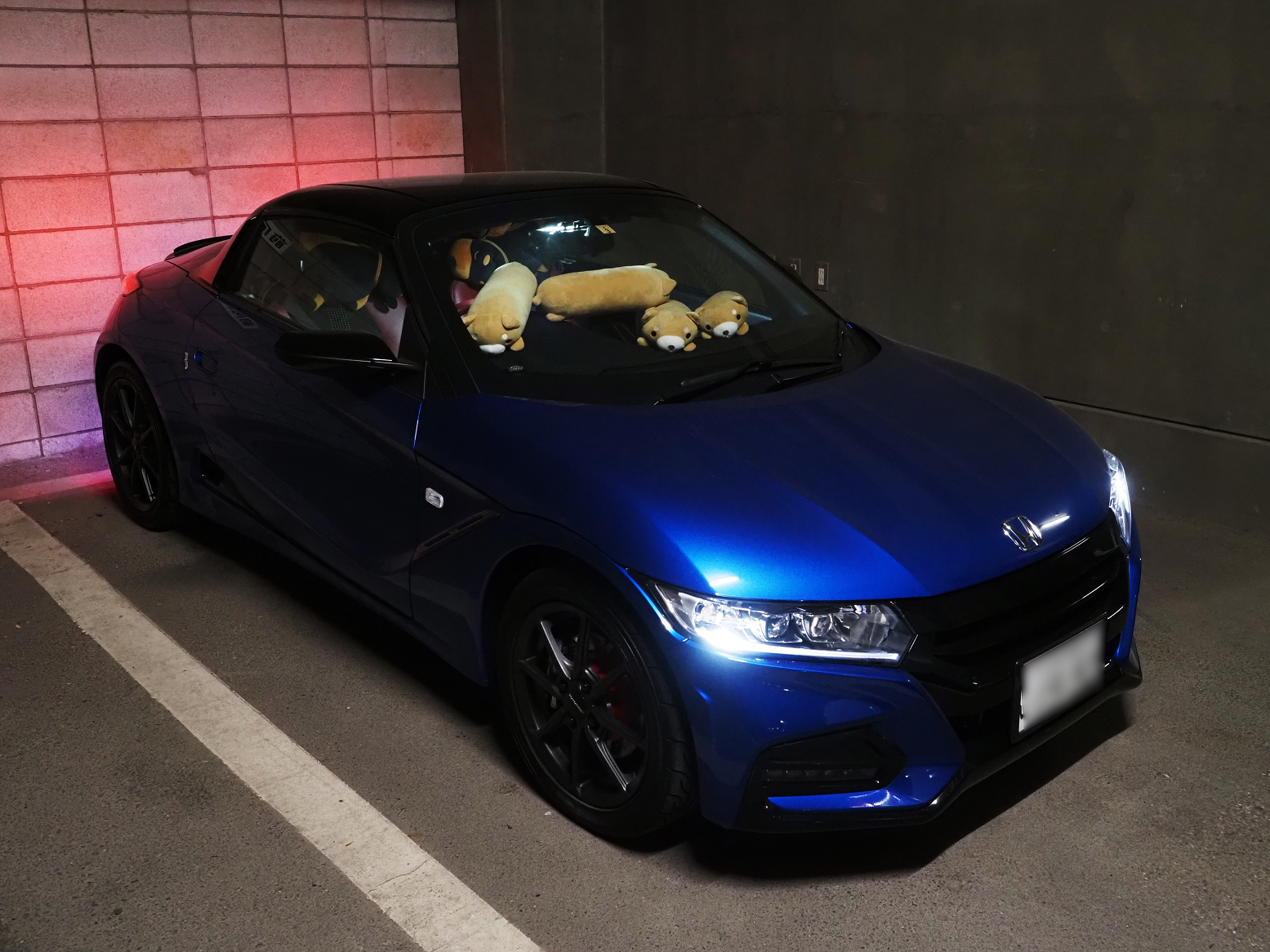 P4020521.jpg