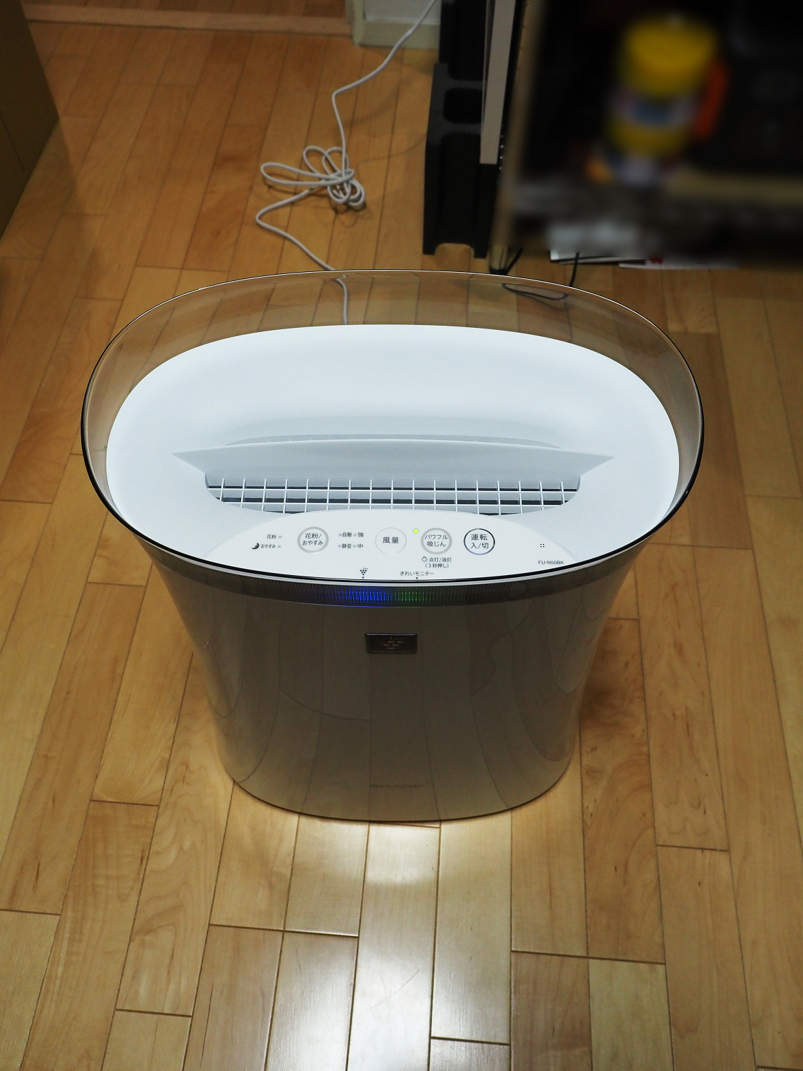 P4150032.jpg