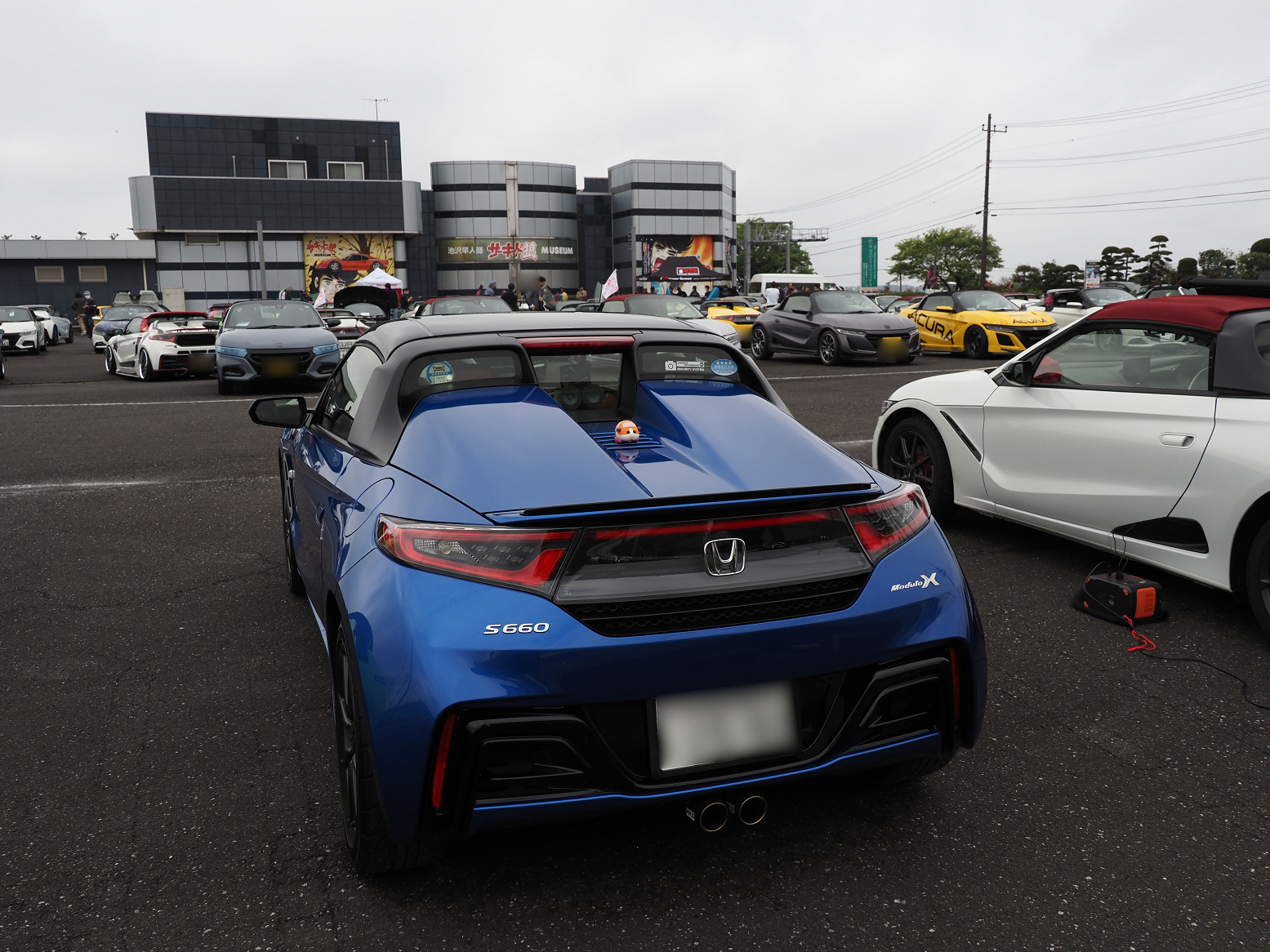 P4160145.jpg
