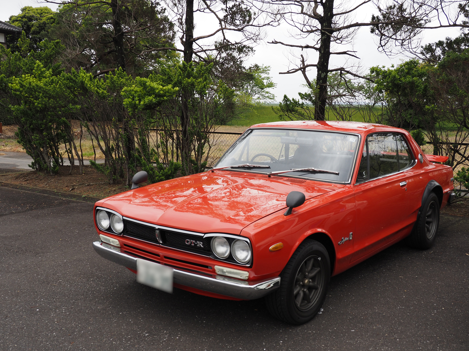 P4160157.jpg