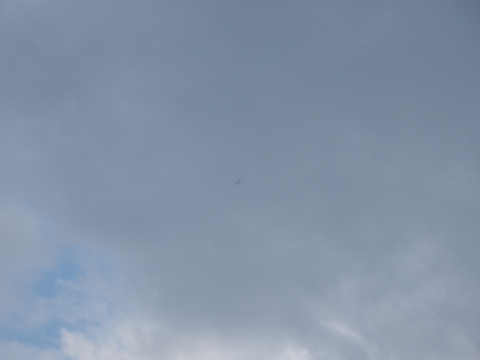 P4160346.jpg