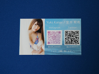 P4160351_thumb.png