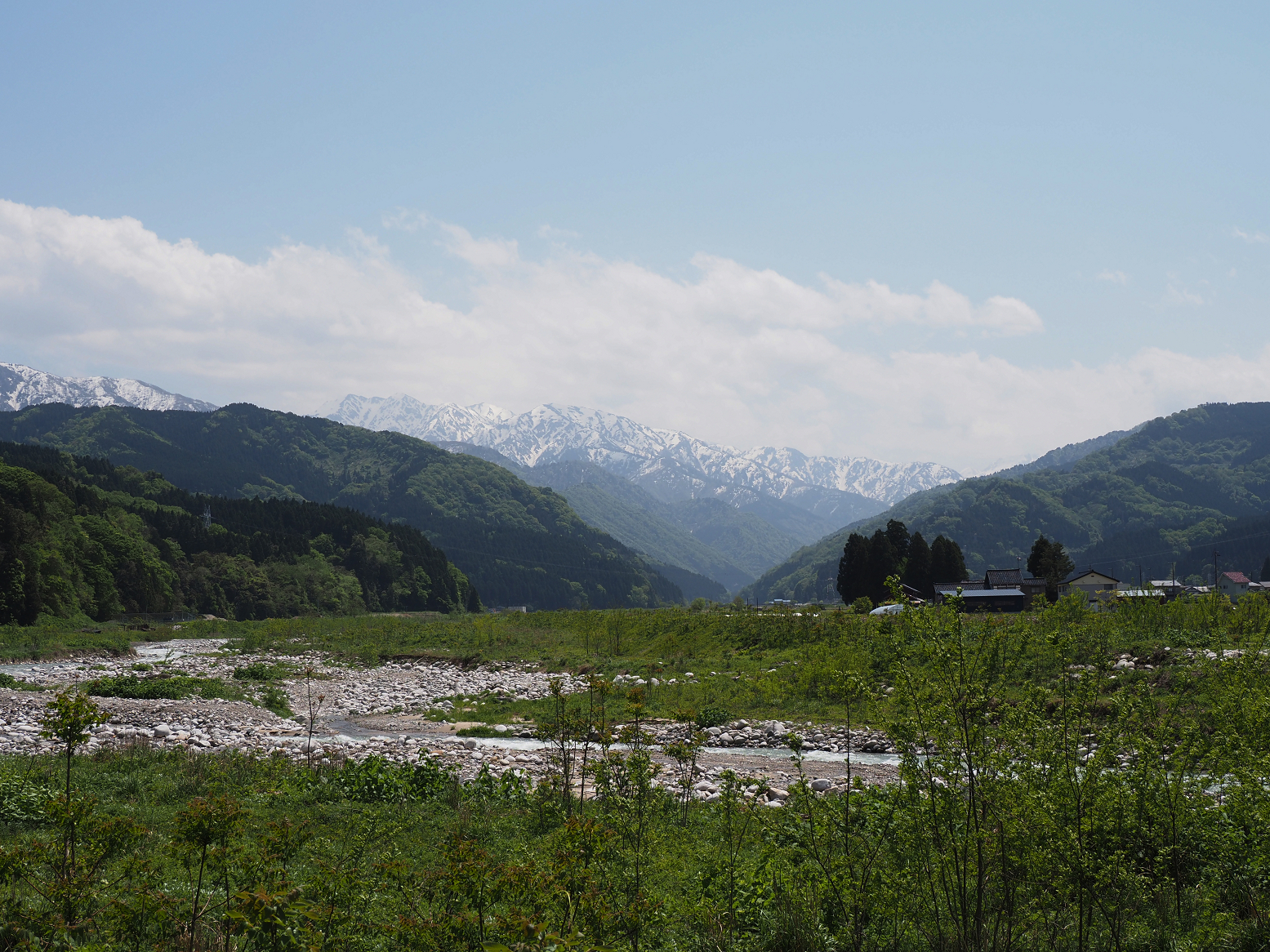 P5010043.jpg