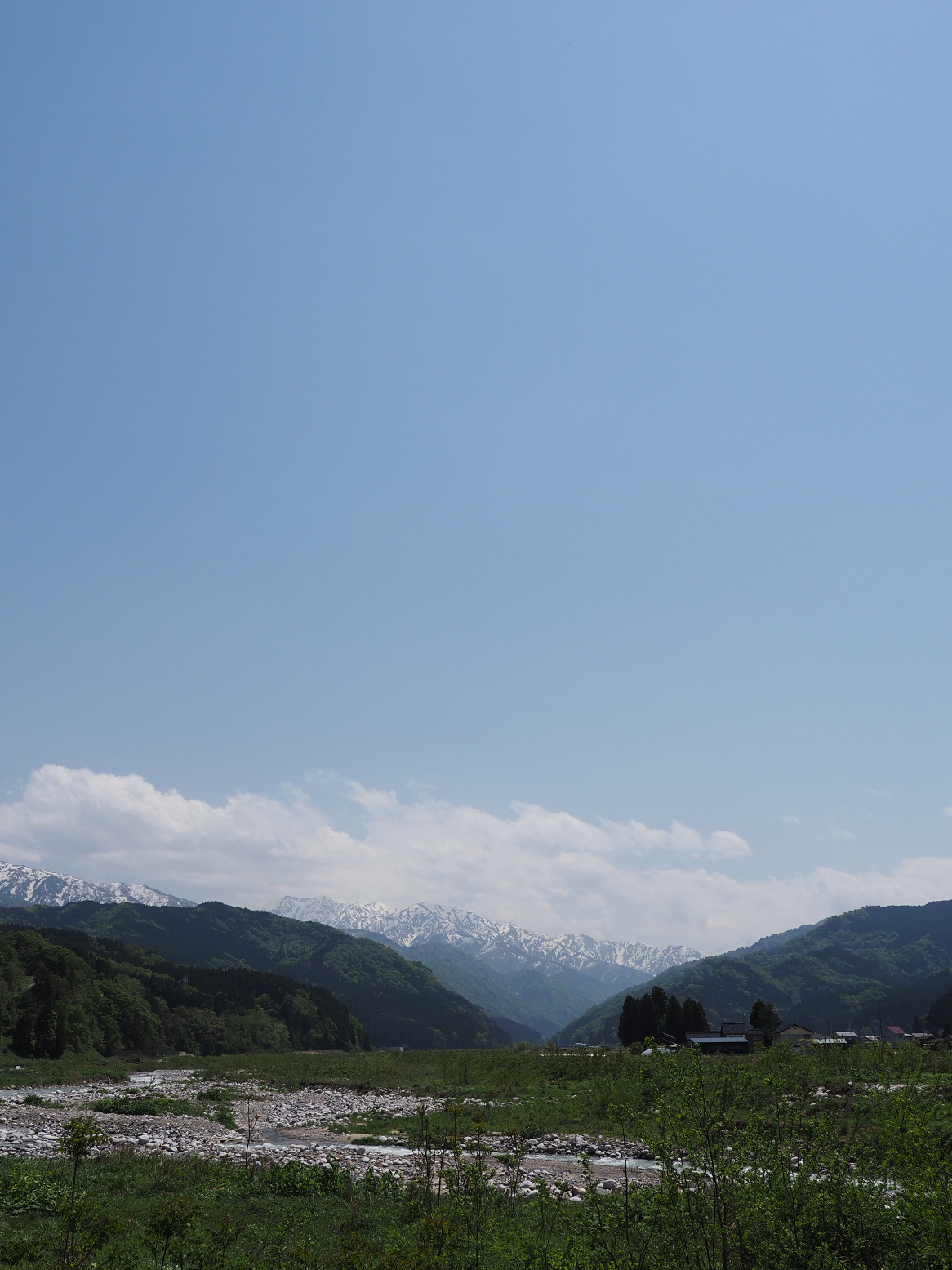 P5010044.jpg