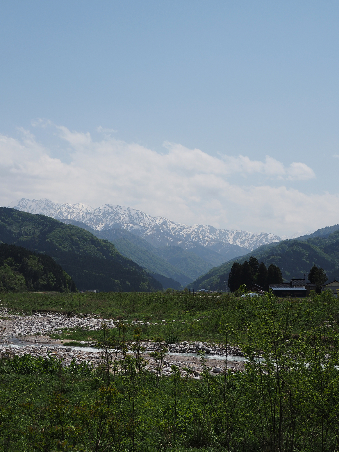 P5010045.jpg