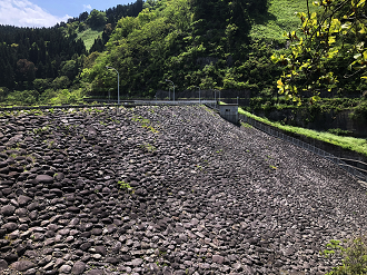 P5010046-001_thumb.png