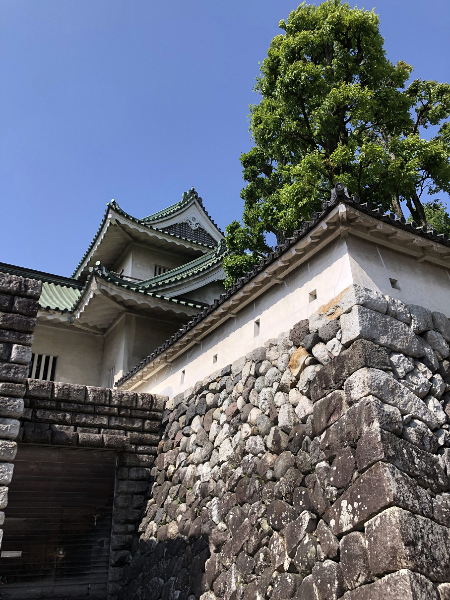 P5010046-037.jpg