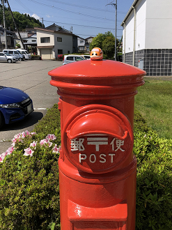 P5020269-036_thumb.png
