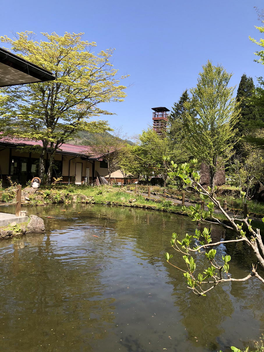 P5020269-084.jpg
