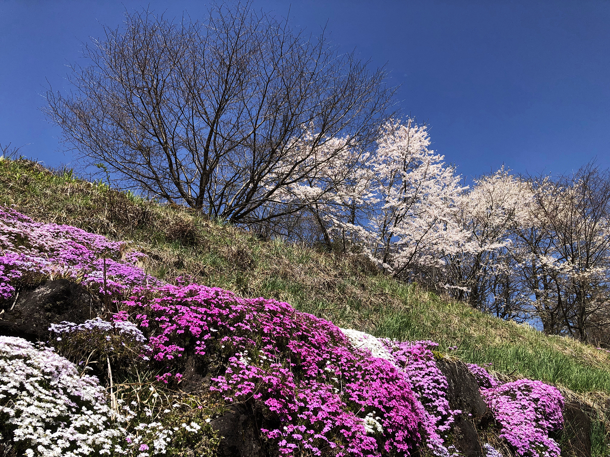 P5020269-110.jpg