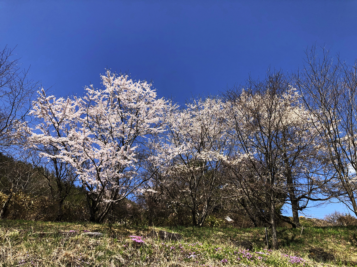 P5020269-118.jpg