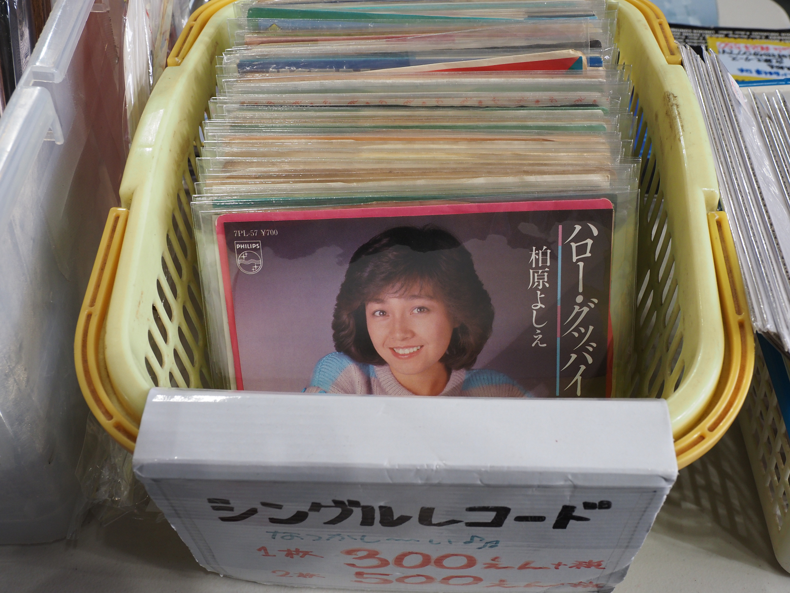 P5030347.jpg