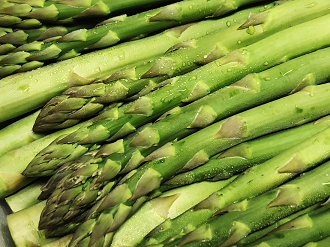 P5150612-056_thumb.png