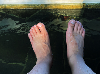 IMG_1747_thumb.png