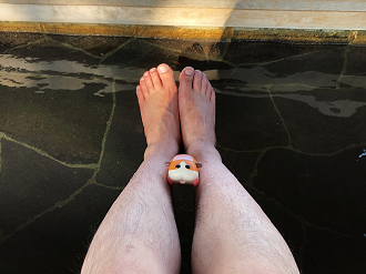 IMG_1750_thumb.png