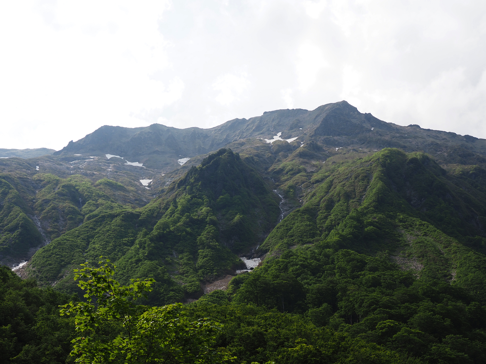 P5270226.jpg