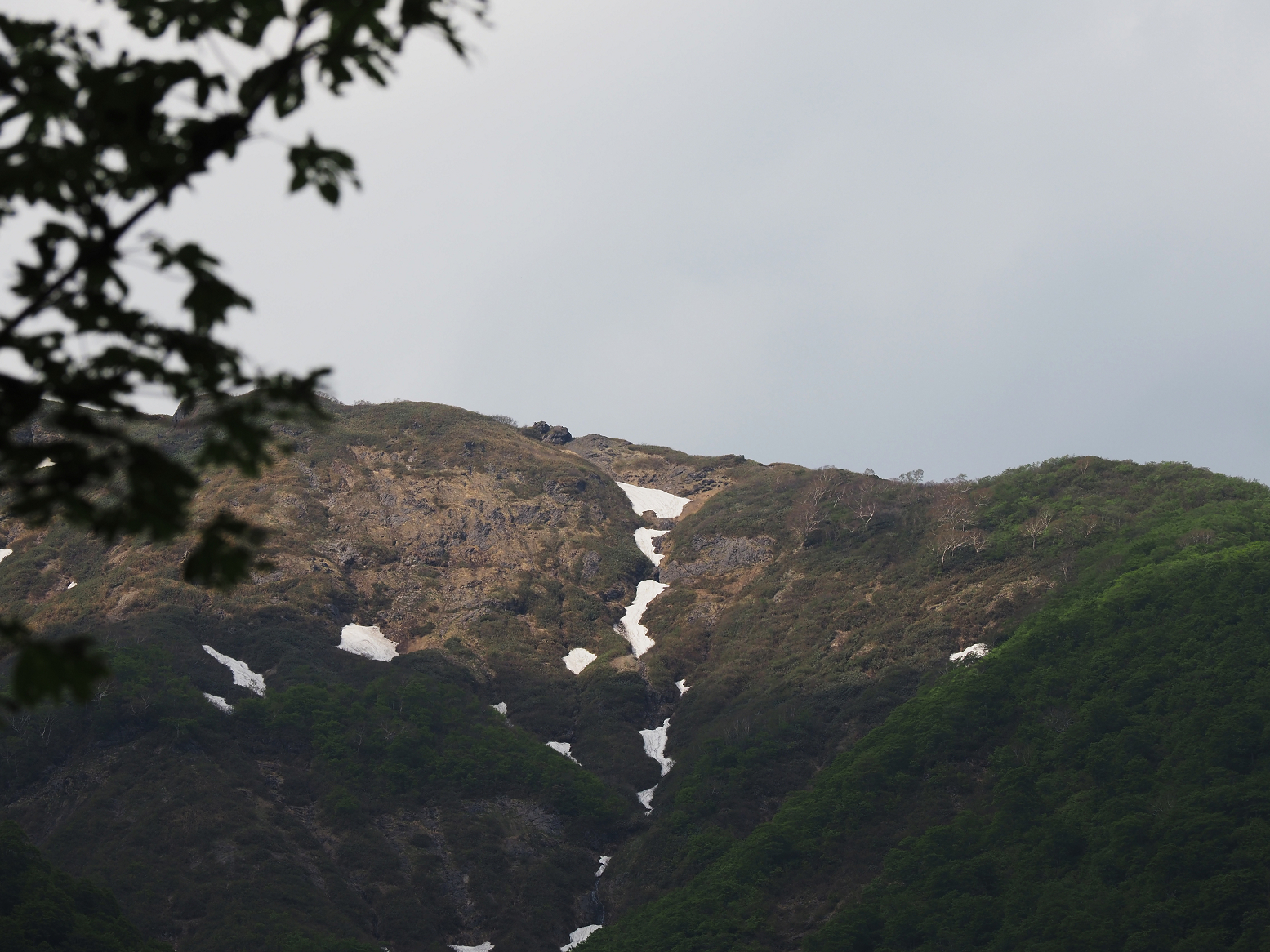 P5270243.jpg