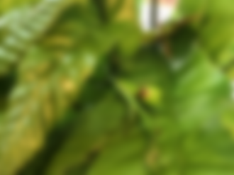 IMG_2172_thumb.png