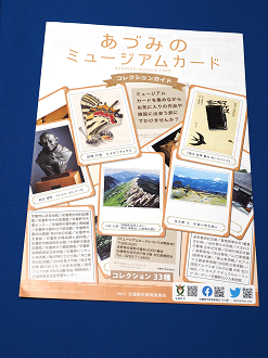 P6110108_thumb.png