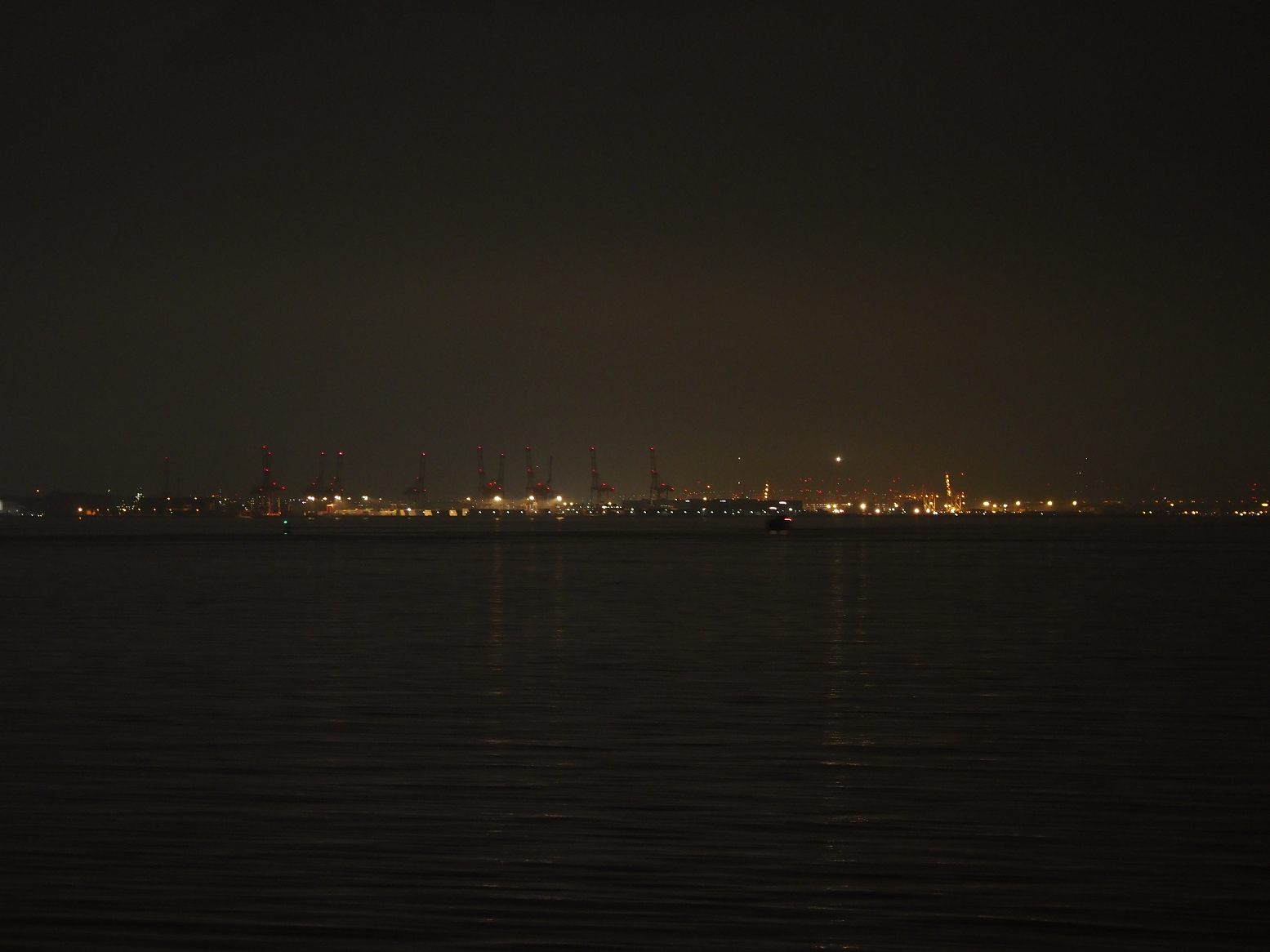 P6240042.jpg