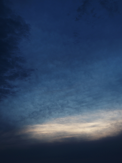 P6240151_thumb.png